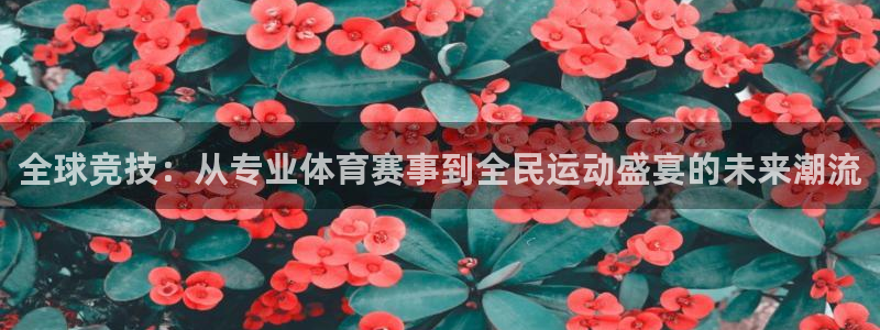 全球竞技：从专业体育赛事到全民运动盛宴的未来潮流
