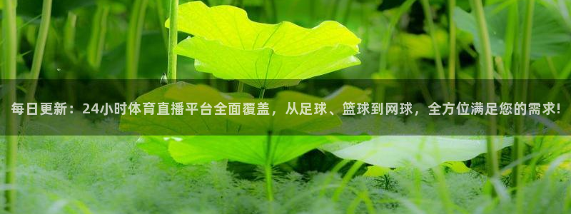 每日更新：24小时体育直播平台全面覆盖，从足球、篮球到网球，全方位满足您的需求!